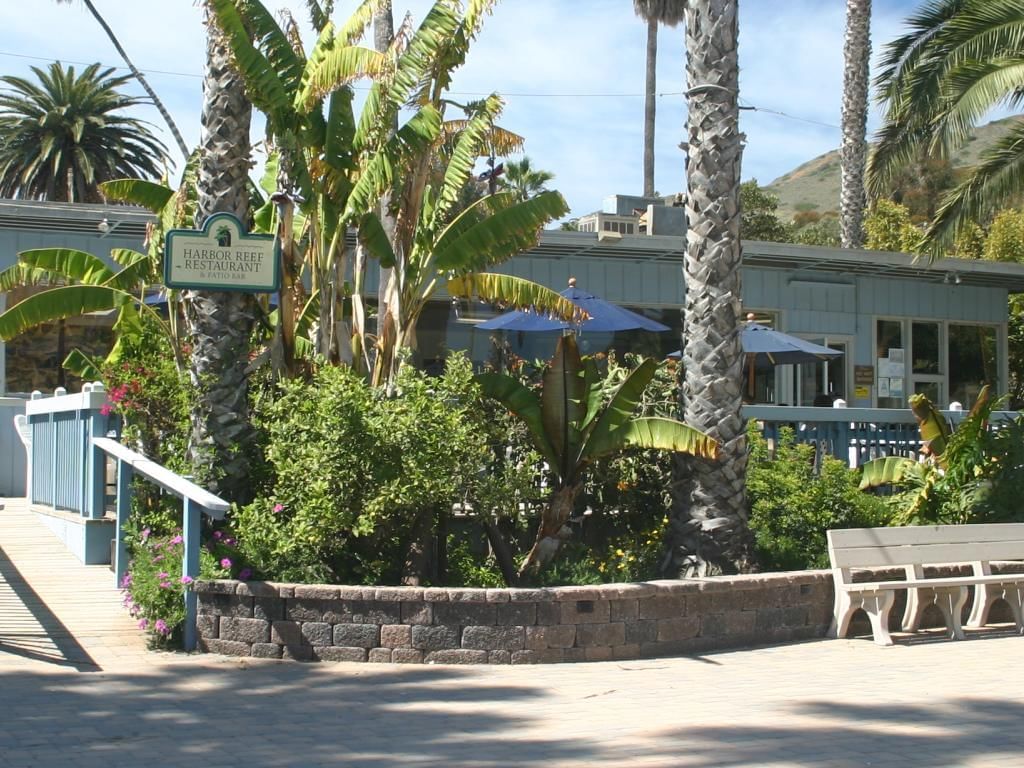 West End Galley entrance with palm trees and blue umbrellas near Banning House Lodge