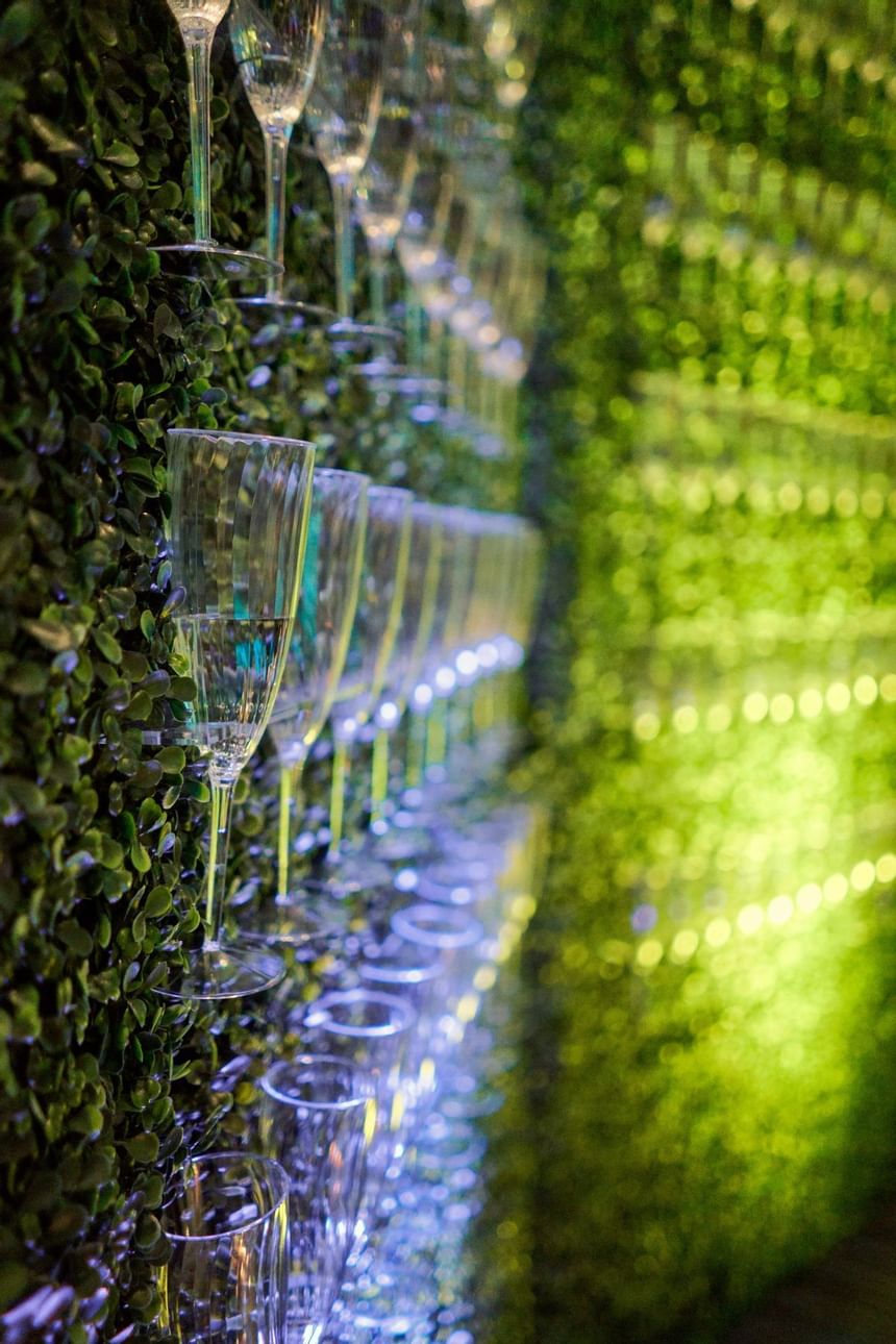 grass wall with glassware in it