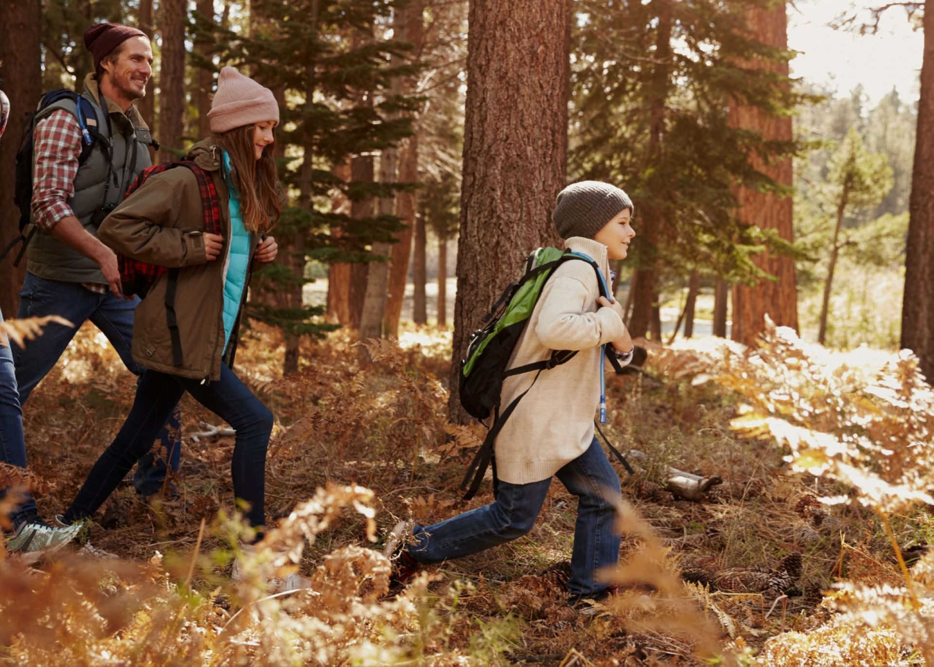 Family hiking in a forest trail on a sunny day near The Bethel Resort & Suites