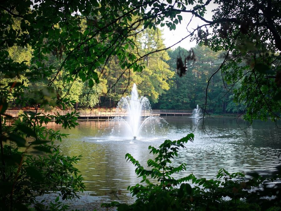 Serene fountain surrounded by lush greenery at The Umstead Hotel and Spa