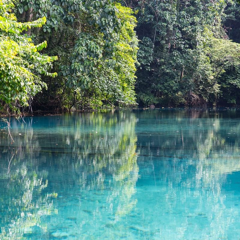 Serene turquoise lake surrounded by lush green foliage Featuring Vanuatu blue hole near Warwick Hotels and Resorts