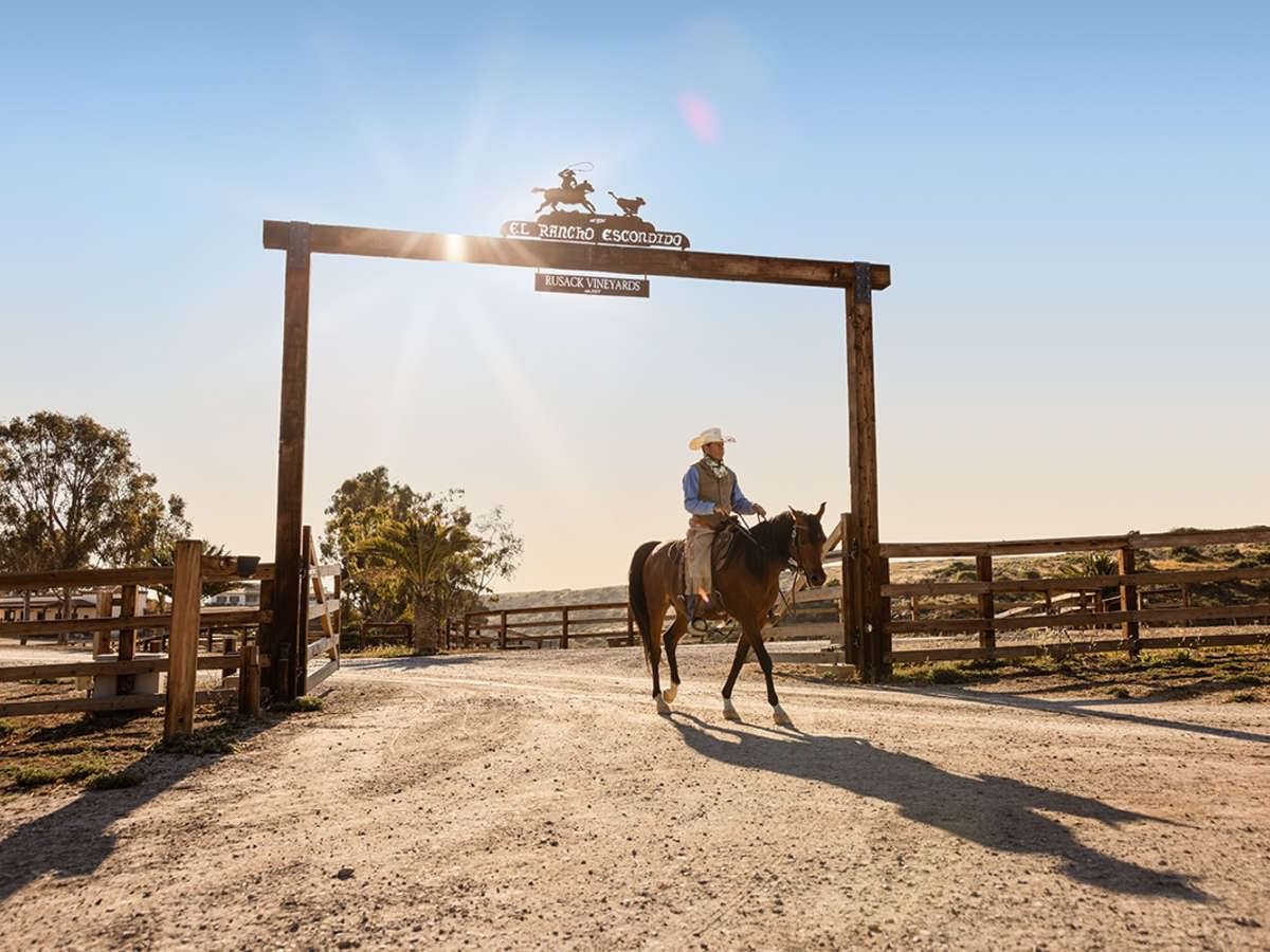 Equestrian riding a horse through a gate at Catalina Island Company