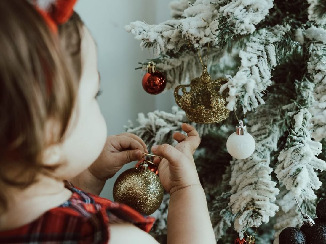 Festive Season