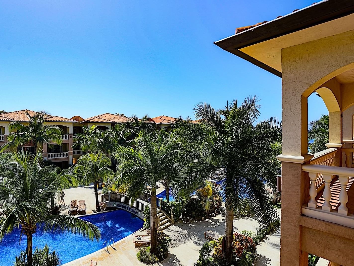 pool with palm trees