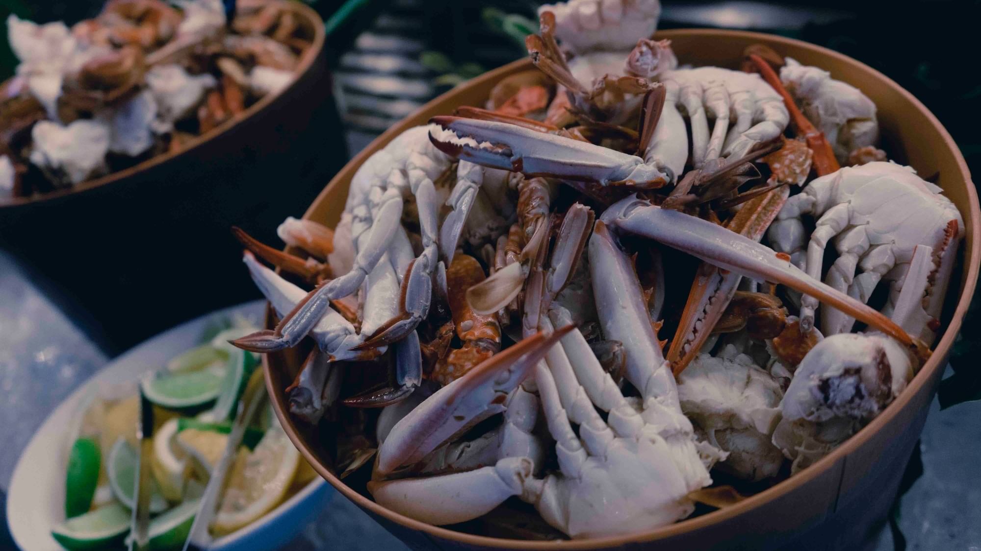 Dining Options at Pullman Cairns International