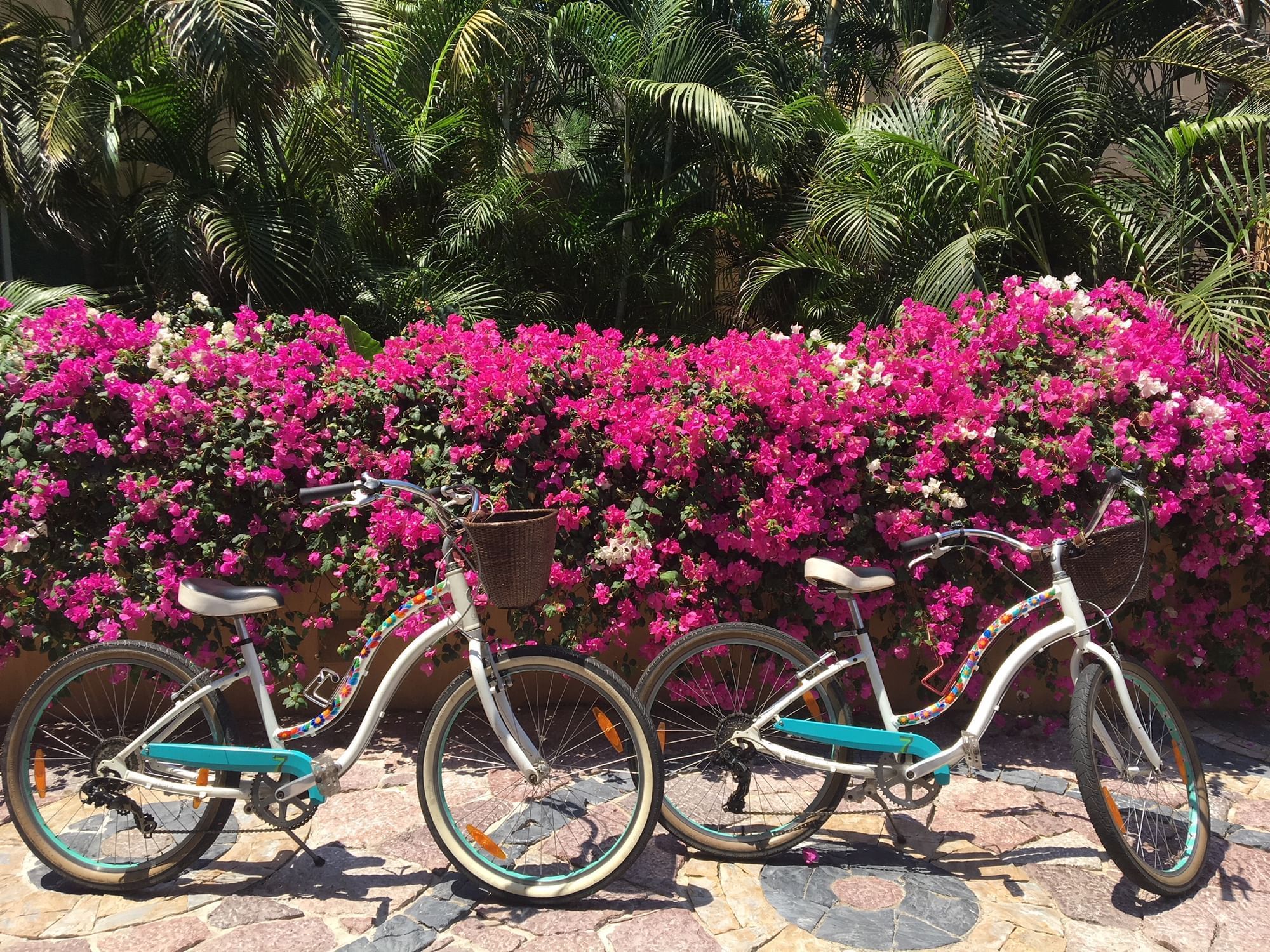 Complimentary bikes parked at garden at Cala de Mar Resort