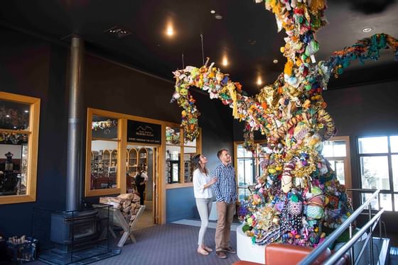 Entrance of the Cradle Mountain Wilderness Gallery