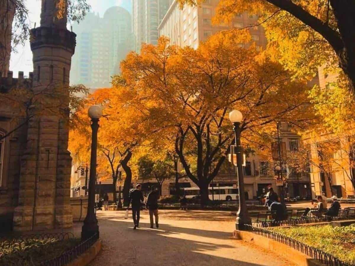 best things to do in nyc in october