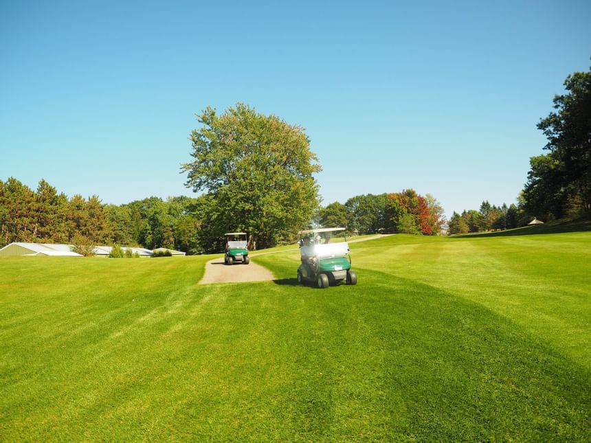 2 golf carts in the golf course at Evergreen Resort