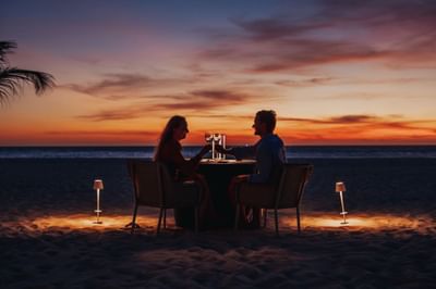 Romantic Dinner under the Stars
