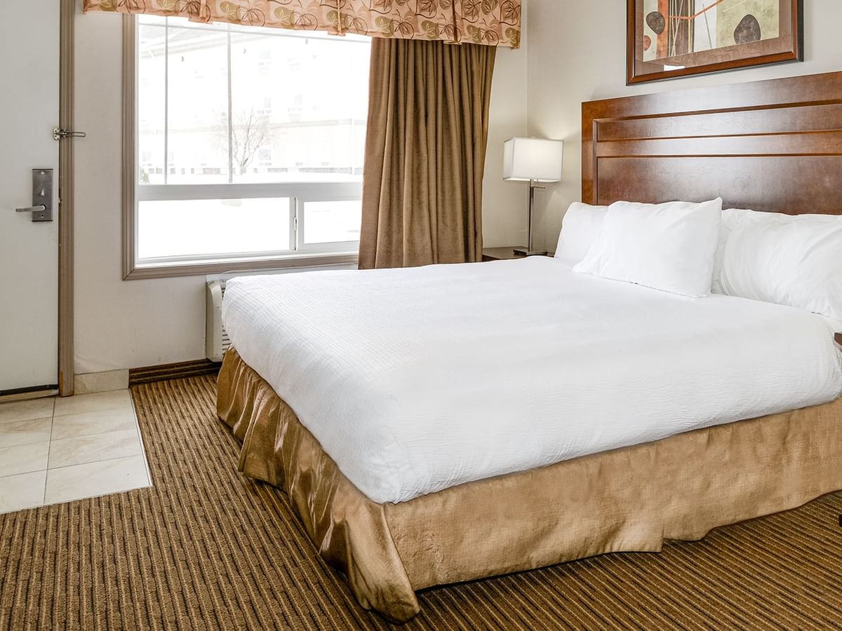 Accessible hotel room with king bed and a large window