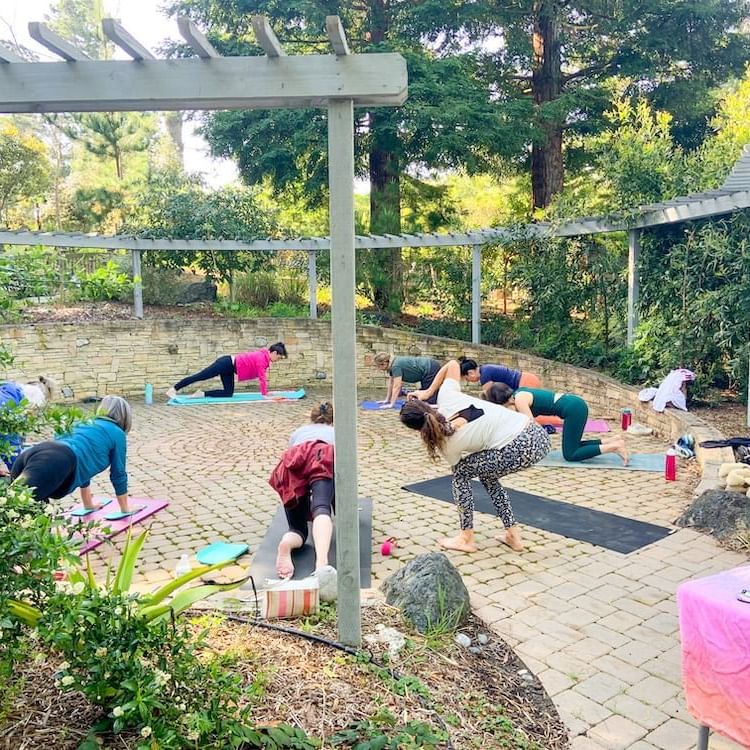 Outdoor yoga class at cambria nursery and florist