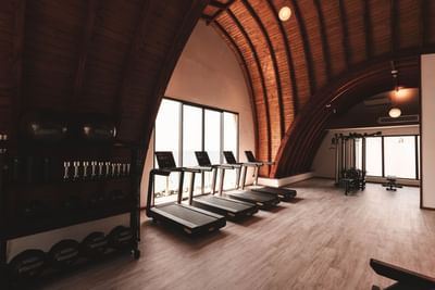 Modern gym at Ananea Madivaru Maldives with wooden arch ceilings, treadmills, and fitness equipment near large windows