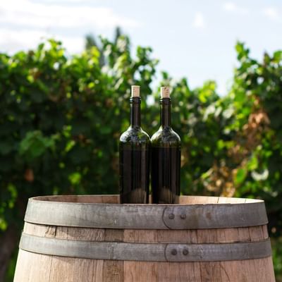 Two wine bottles sit on a wooden barrel with a vineyard in the background.