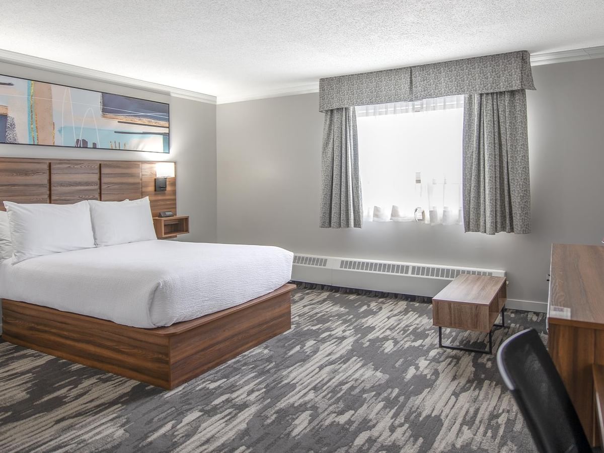 A hotel room with a Queen bed, wooden desk, and window.