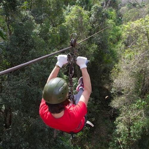A man ziplining trough the forest near DOT Hotels