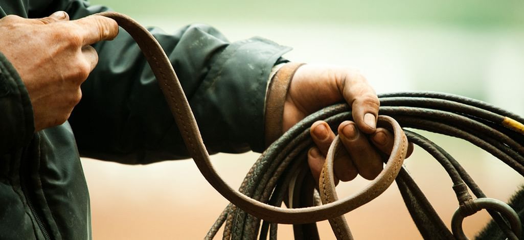 hand holding a leather rope