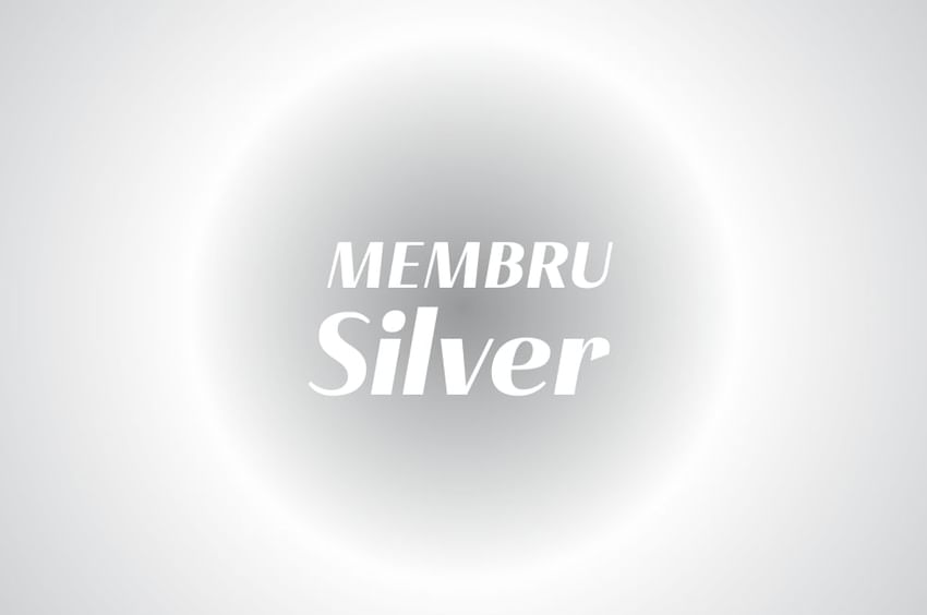 Membru Silver banner used at Ana Hotels