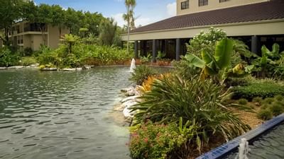 pond with fountains