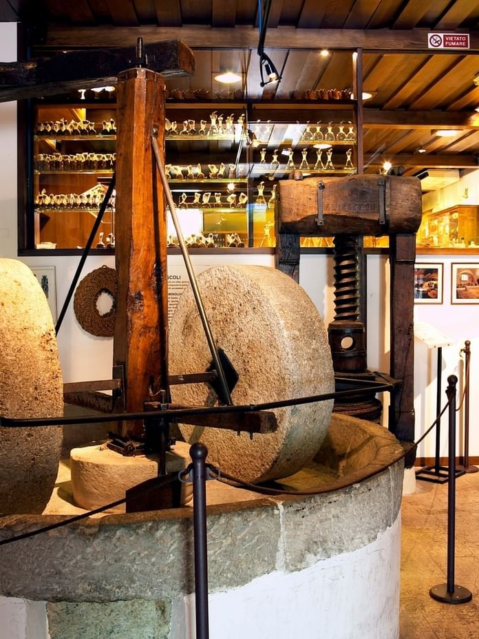 Visit to Torgiano’s Wine & Olive Oil Museums