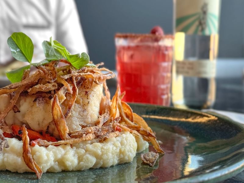 Close-up of a beautifully plated fish and mashed potato dish served in La Distral Querétaro at Grand Fiesta Americana