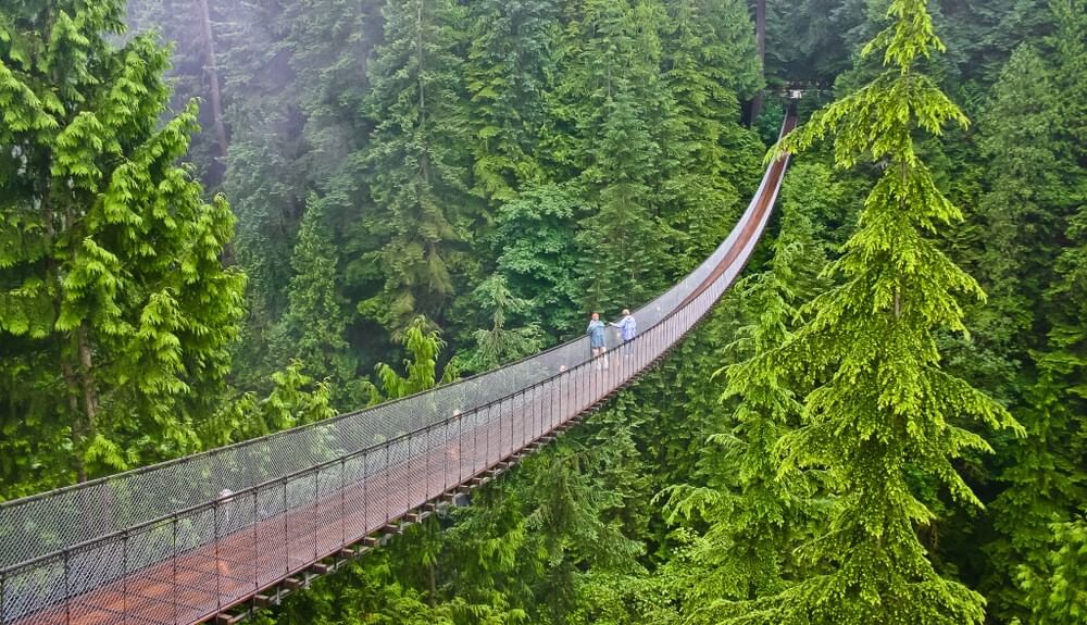 How to Plan a Visit to Capilano Suspension Bridge