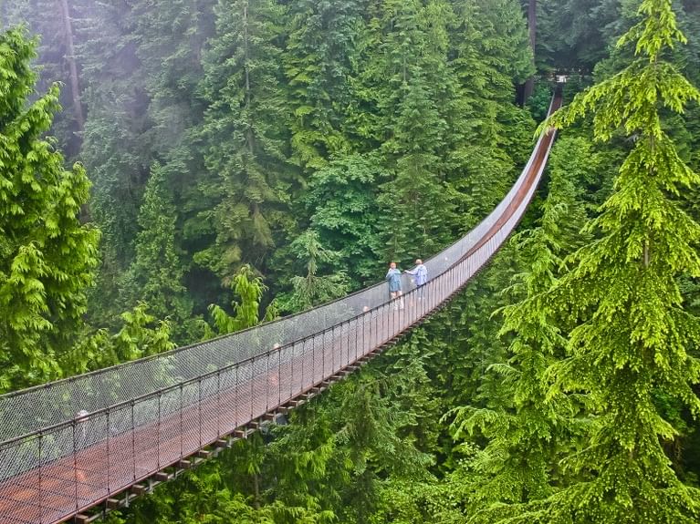 How to Plan a Visit to Capilano Suspension Bridge