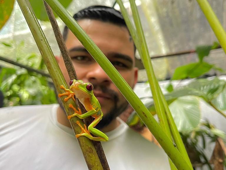 Conoce la biodiversidad tropical en el santuario de mariposas y ranas del Hotel Summit Rainforest.