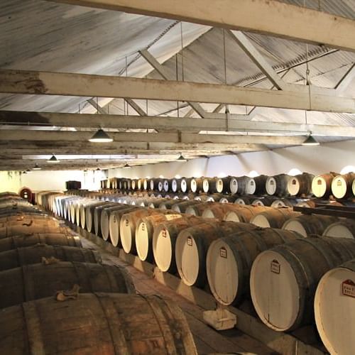 Wine barrels in wine-vaults in order at Novotel Barossa Valley
