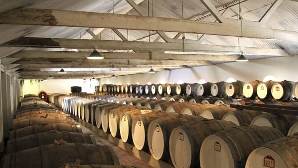 Wine barrels in wine-vaults in order at Novotel Barossa Valley