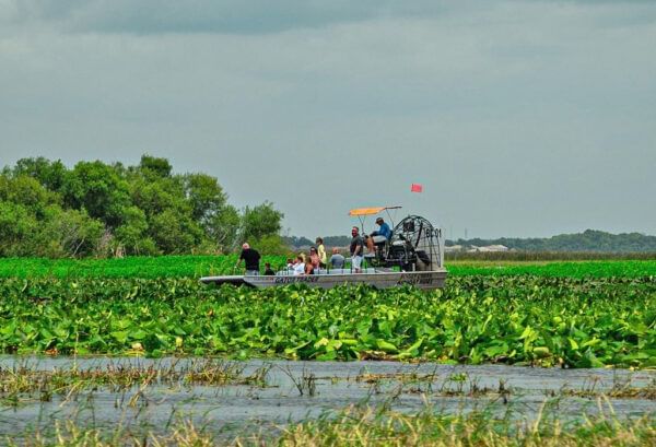 Airboat with passengers gliding over a waterway with green aquatic plants near Lake Buena Vista Resort Village & Spa