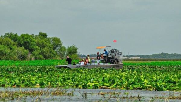 Airboat with passengers gliding over a waterway with green aquatic plants near Lake Buena Vista Resort Village & Spa