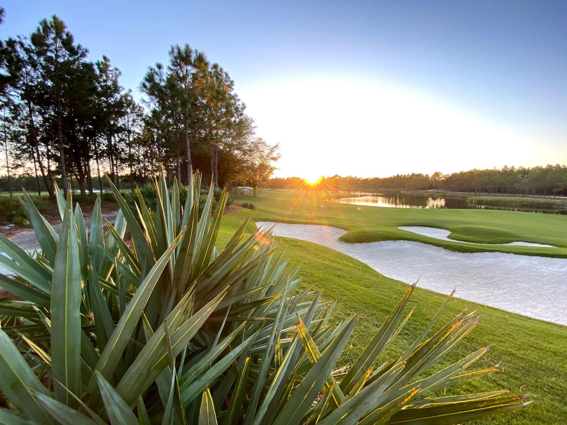 View of a golf ground at sunset near The Lodge 30A