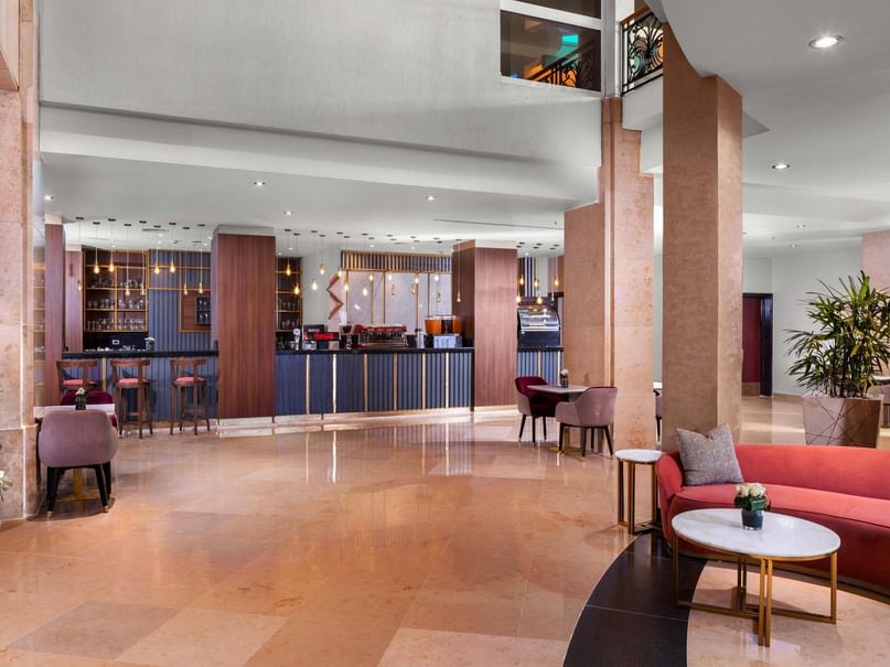 A hotel lobby with a bar, lounge area, and a large plant in a corner.