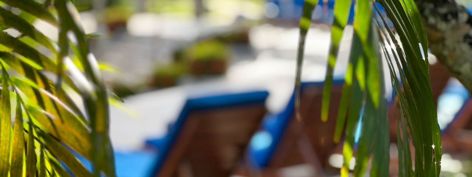 Lounge chairs with blue cushions placed by a sunlit pool under tropical palm leaves at The Naviti Resort in Korolevu