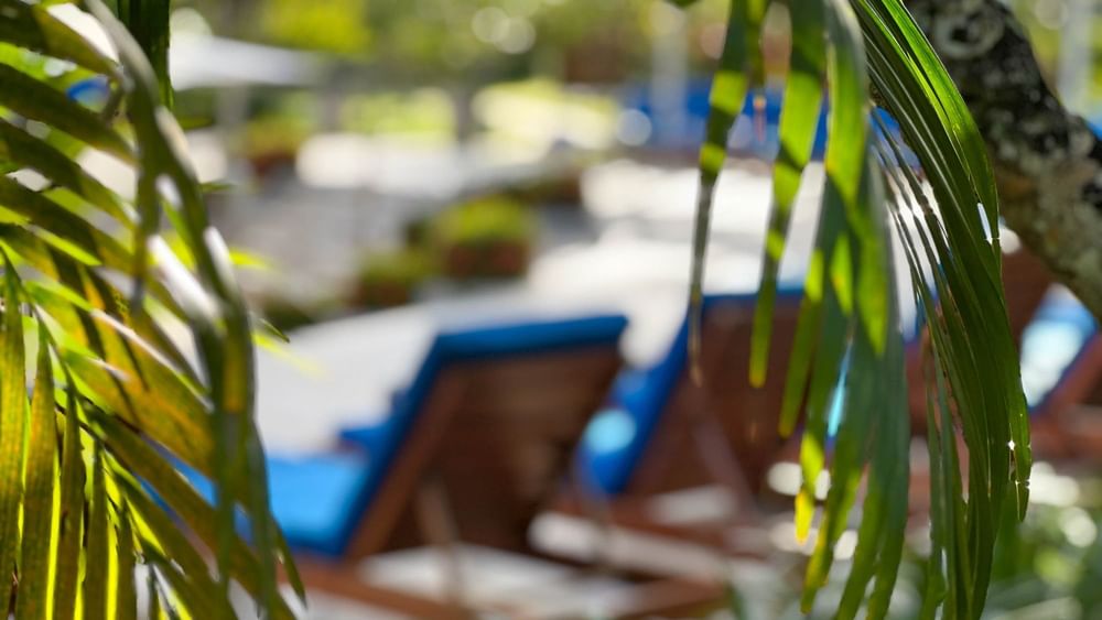 Lounge chairs near swimming pool at The Naviti Resort in Korolevu.