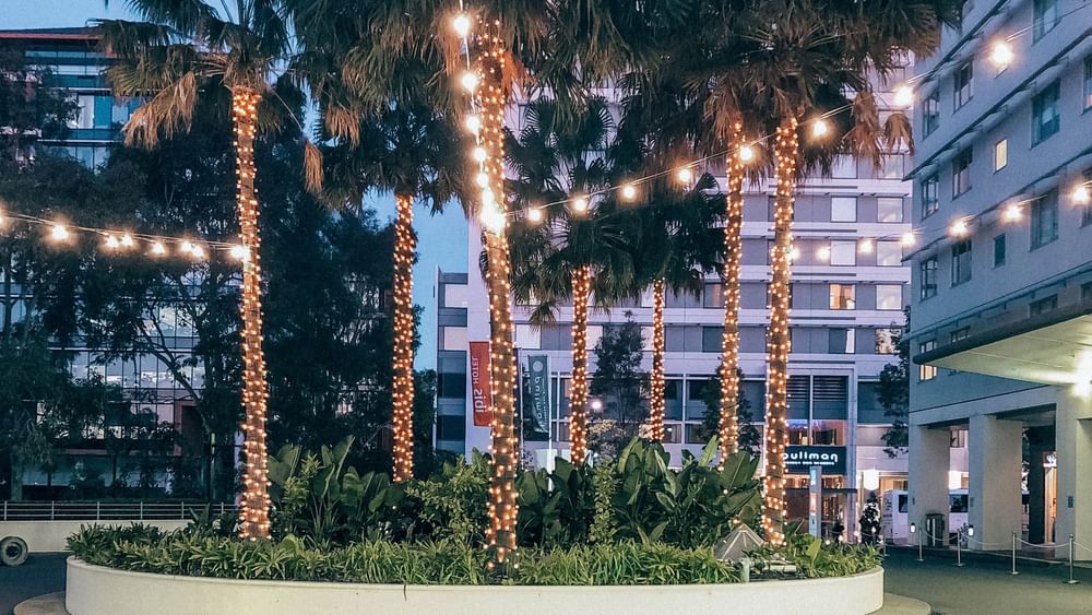 The Driveway with Palm trees wrapped in warm lights at Novotel Sydney Olympic Park