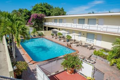 Aerial view of the hotel building and outdoor pool with arranged loungers at Ocean Lodge Boca Raton