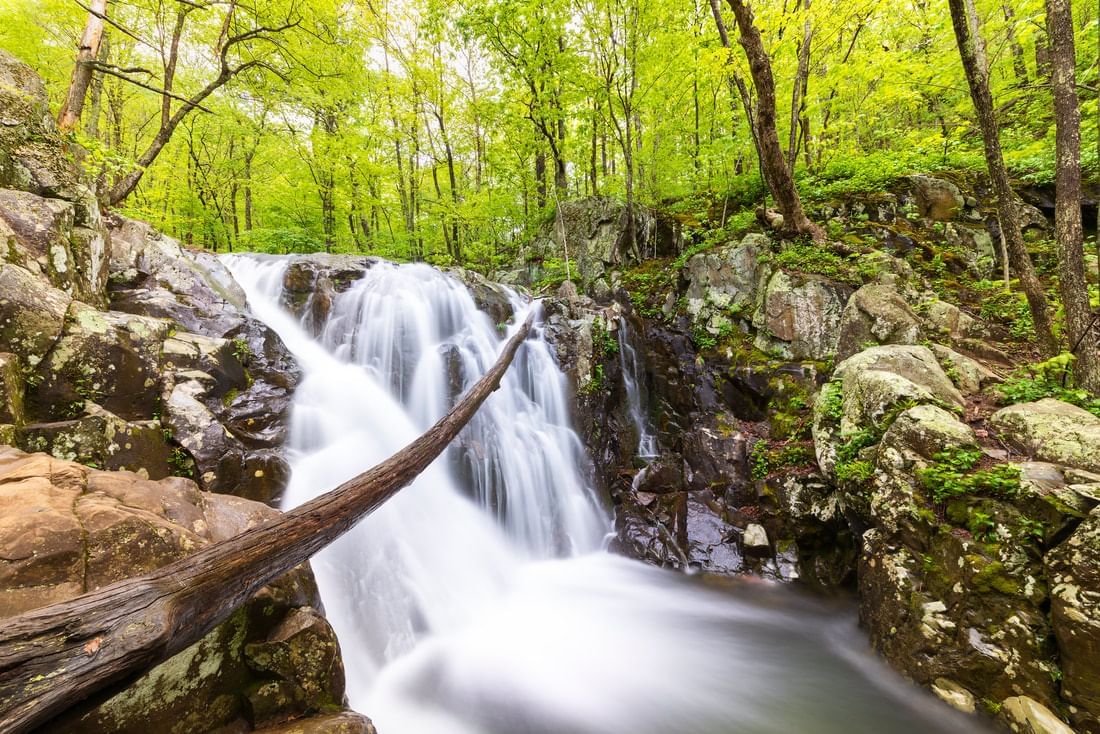  Waterfall trails in Shenandoah National Park near Inn at Willow Grove