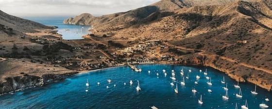 Aerial view of a coastal bay with boats surrounded by hills near Catalina Island Company