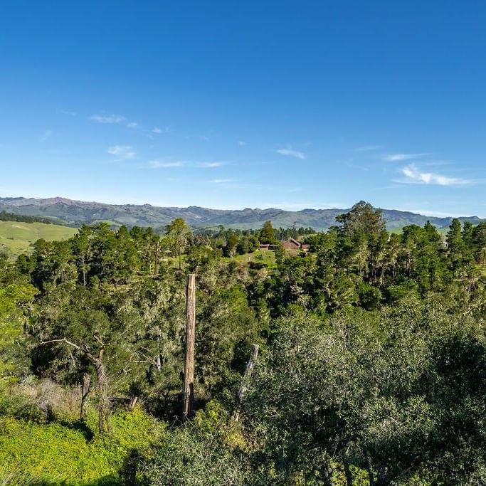 Lush green forest and distant mountains near Cambria Pines Lodge, a scenic stay with the best hotels in Cambria, CA