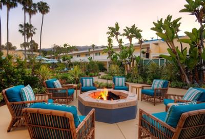Firepit surrounded with chairs outdoors at Catalina Island Company
