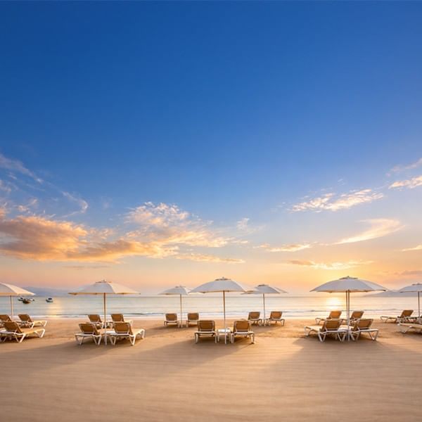 Rows of white umbrellas and empty lounge chairs on the sandy beach at sunset facing the quiet ocean at Casa Dona Susana