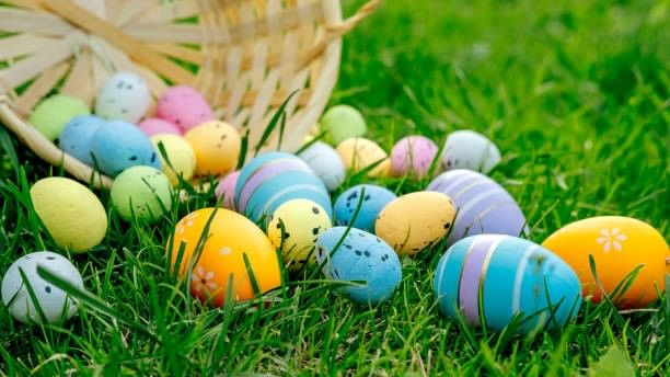 Colorful Easter eggs on grass with a basket, for an In-Room Easter Egg Hunt.