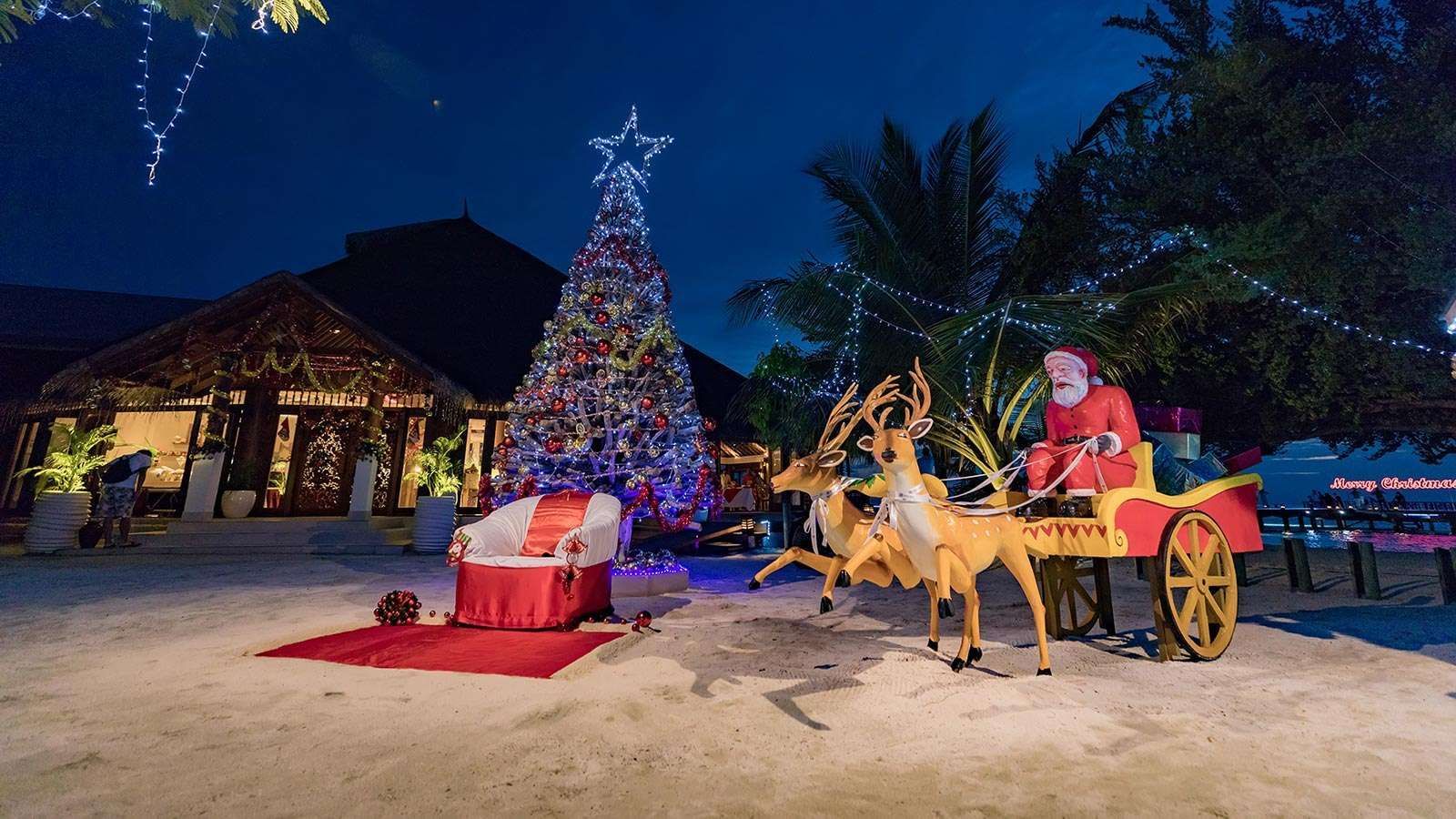 Christmas decoration on the beach near The Signature Collection