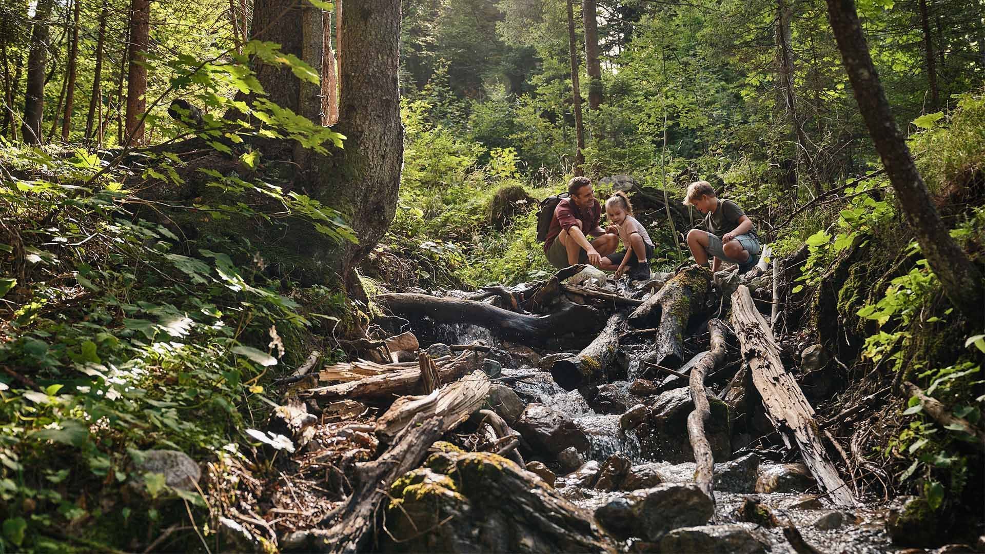 Three people resting on logs in a lush, sunlit forest near Falkensteiner Club Funimation Katschberg