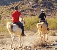 Group horseback riding in the desert