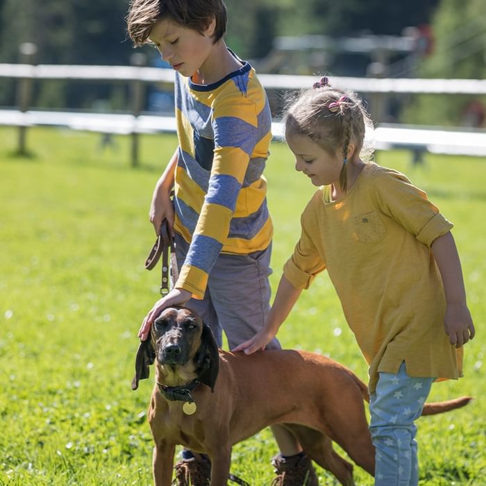 Two children and a dog are standing on grass with a white fence in the background.