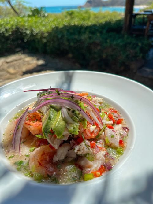 Fresh seafood ceviche with avocado & red onion served at La Bastide Restaurant in Morgan’s Rock Reserve & Ecolodge