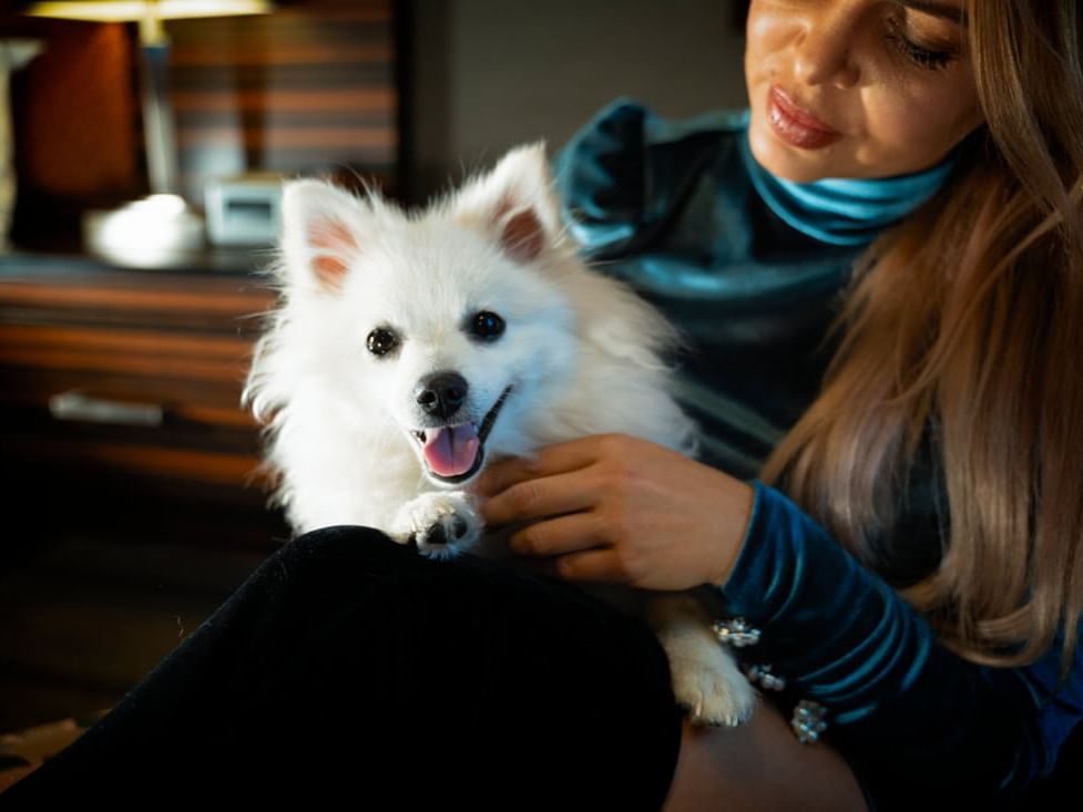 Lady cuddling a puppy in Exquisite Pet-Friendly Queen Room at Hotel Clique Calgary Airport